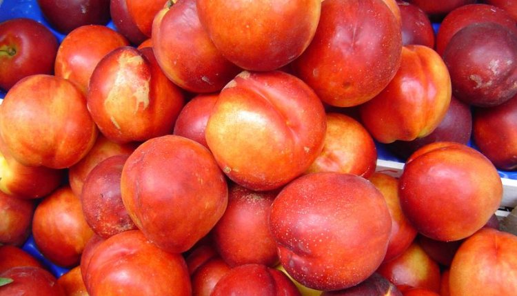 Nectarine cu nivel ridicat de pesticide, retrase de la vânzare de comisarii ANPC